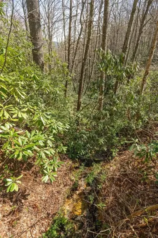 6045 Whiteside Cove Road Cashiers NC 28717