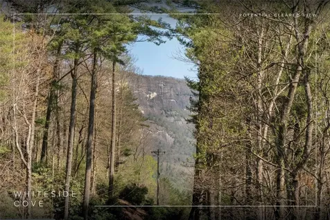 6045 Whiteside Cove Road Cashiers NC 28717