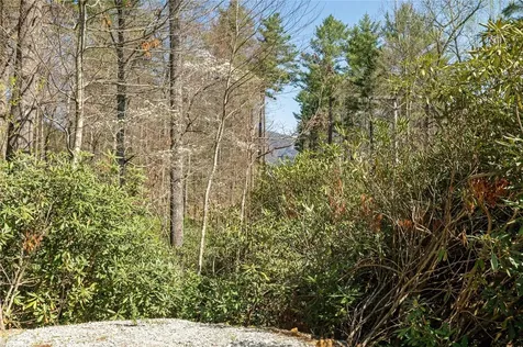 6045 Whiteside Cove Road Cashiers NC 28717