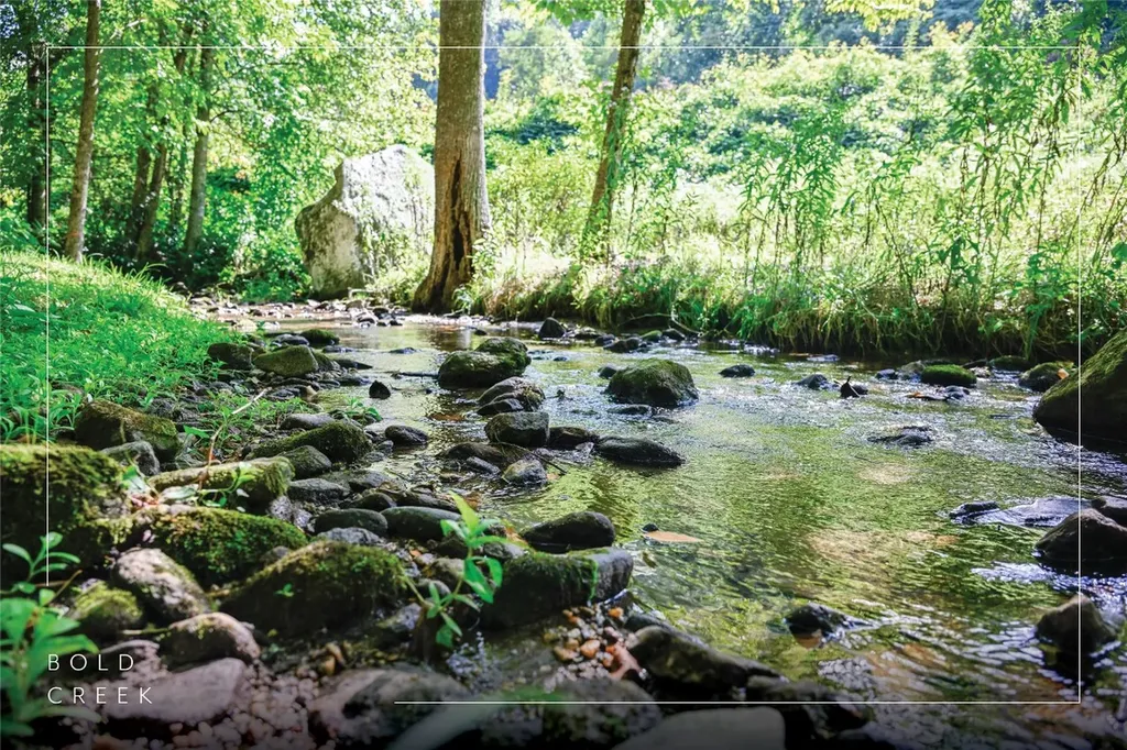 112 Bold Creek Trail Glenville NC 27836