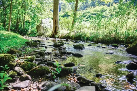 112 Bold Creek Trail Glenville NC 27836