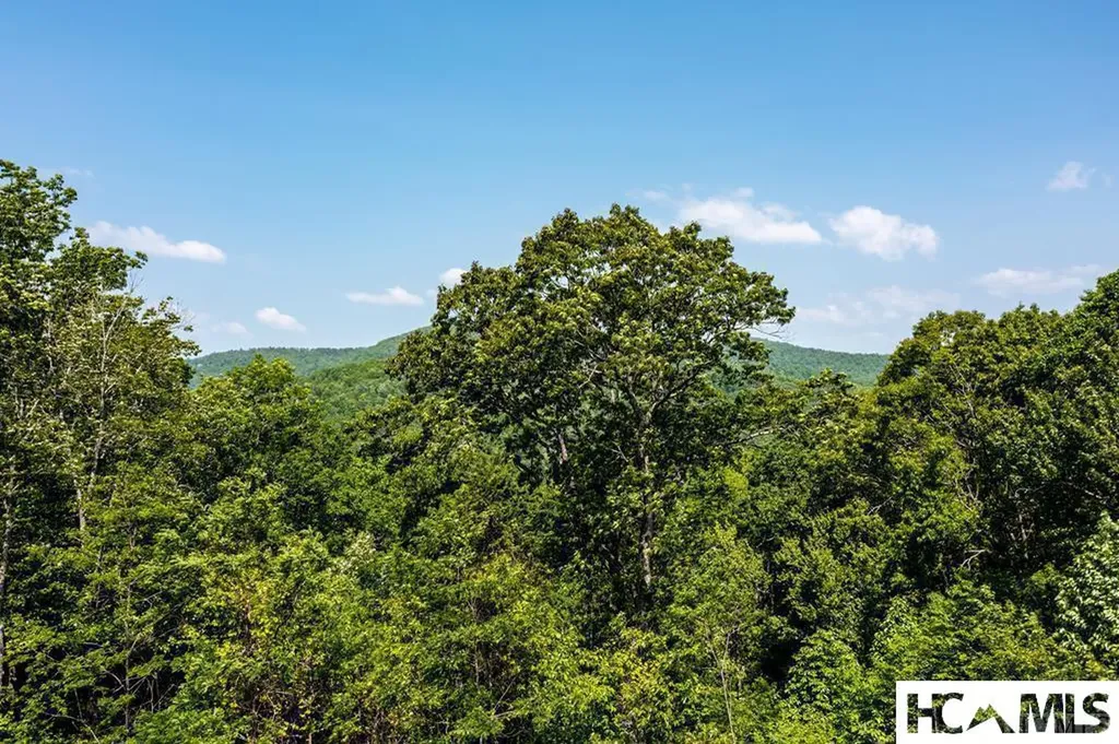 2572 Great Falls Drive Glenville NC 28717