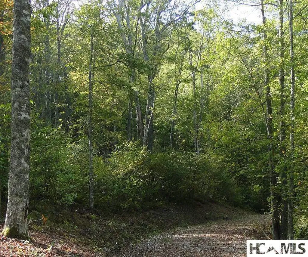 2572 Great Falls Drive Glenville NC 28717