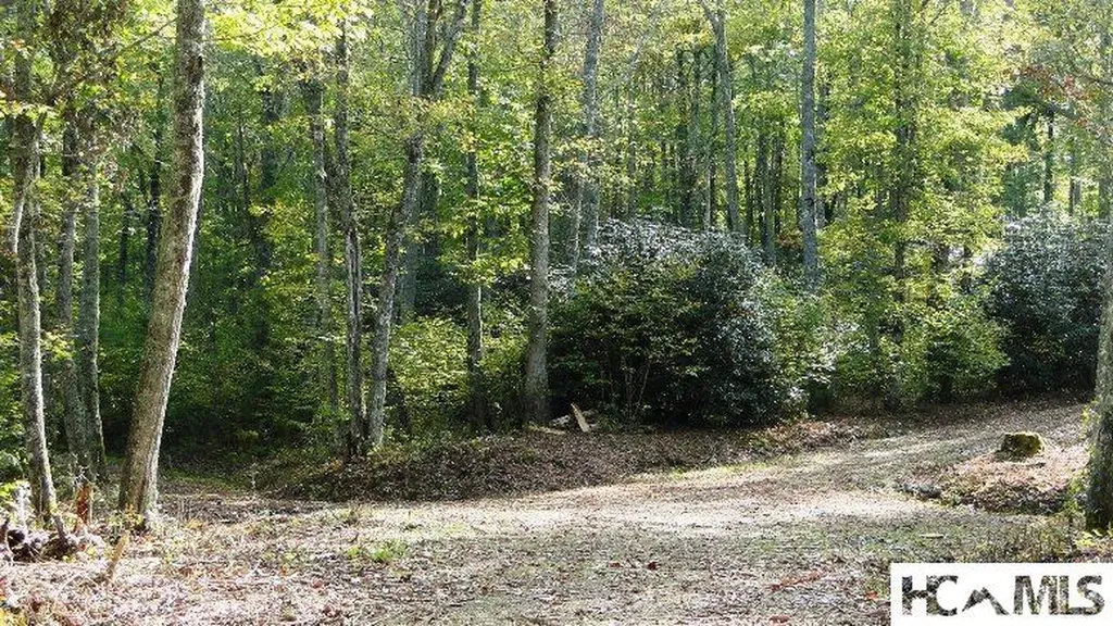 2572 Great Falls Drive Glenville NC 28717