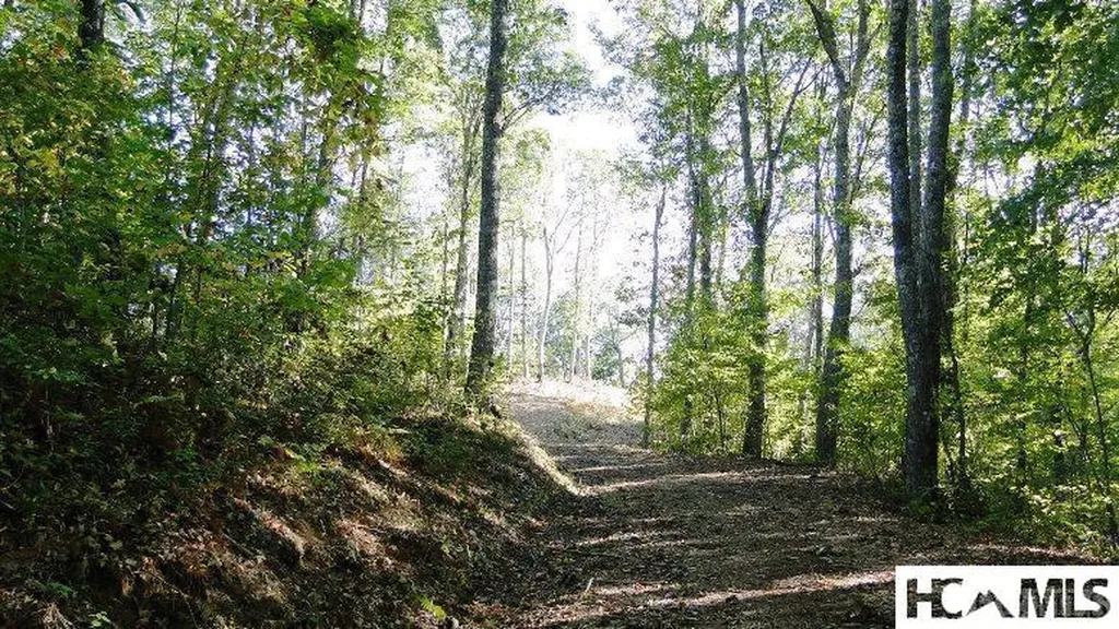 2572 Great Falls Drive Glenville NC 28717