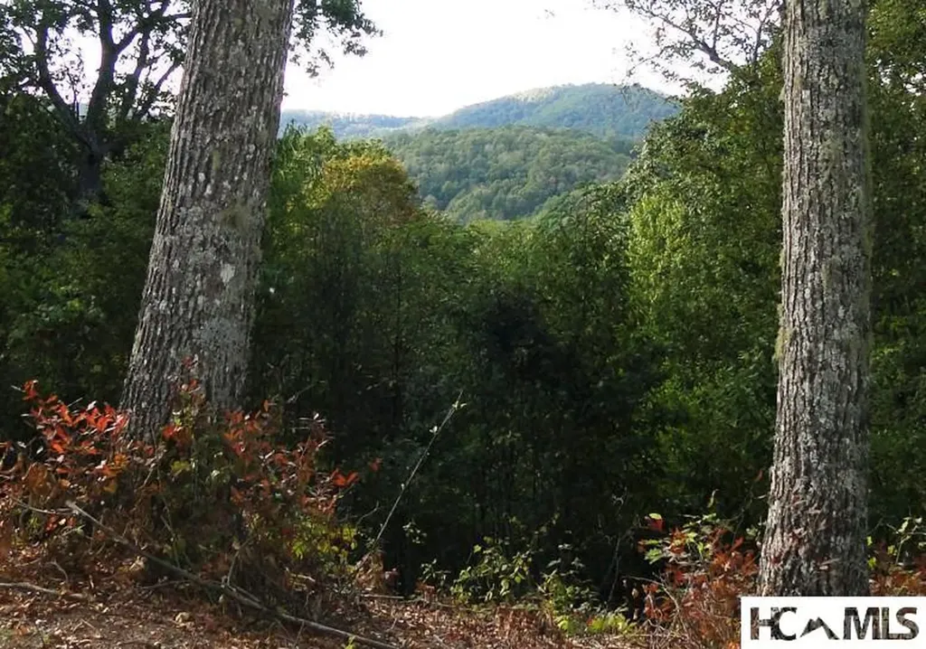 2572 Great Falls Drive Glenville NC 28717
