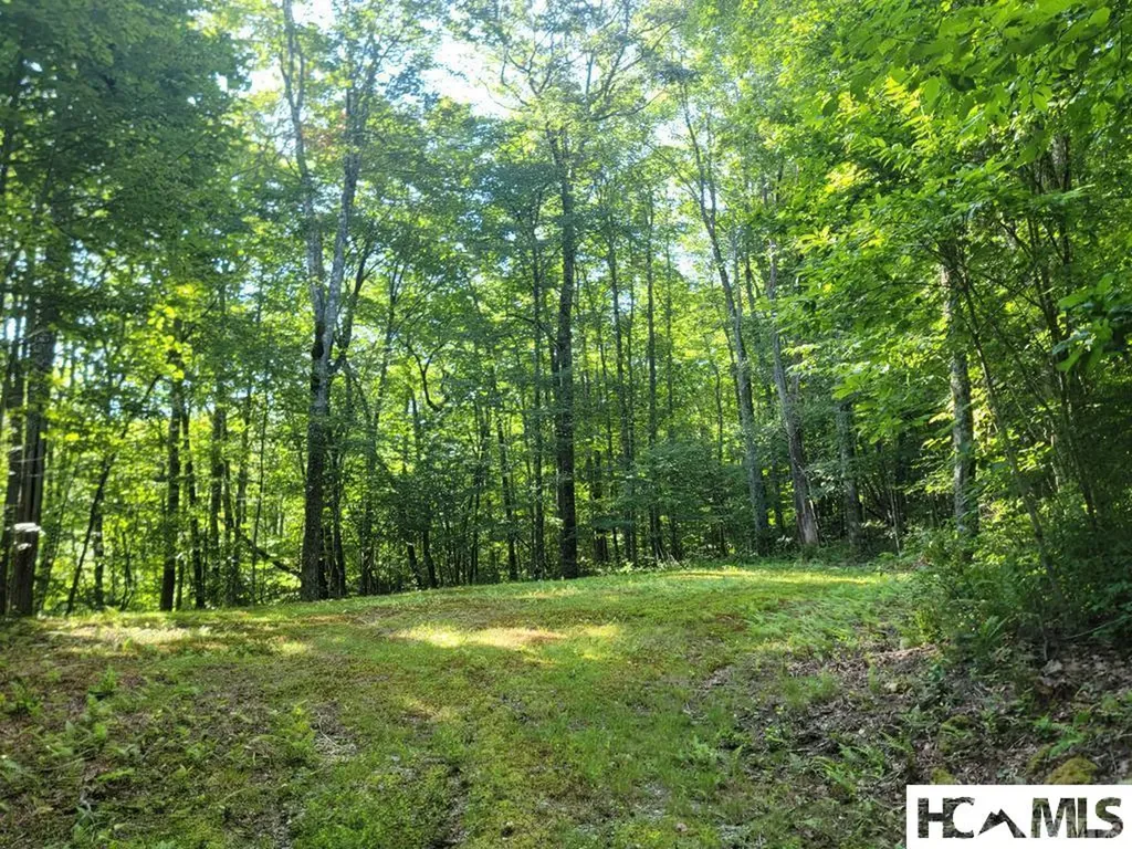 2572 Great Falls Drive Glenville NC 28717