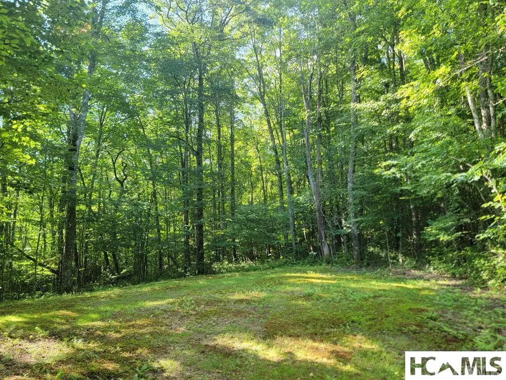 2572 Great Falls Drive Glenville NC 28717
