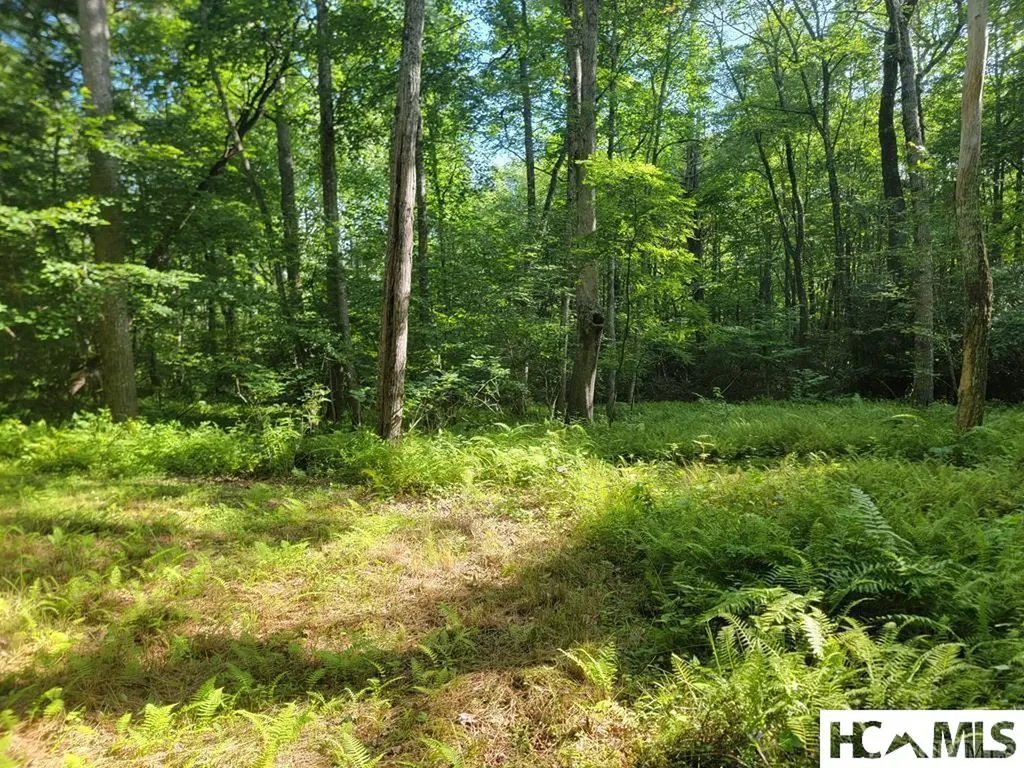2572 Great Falls Drive Glenville NC 28717