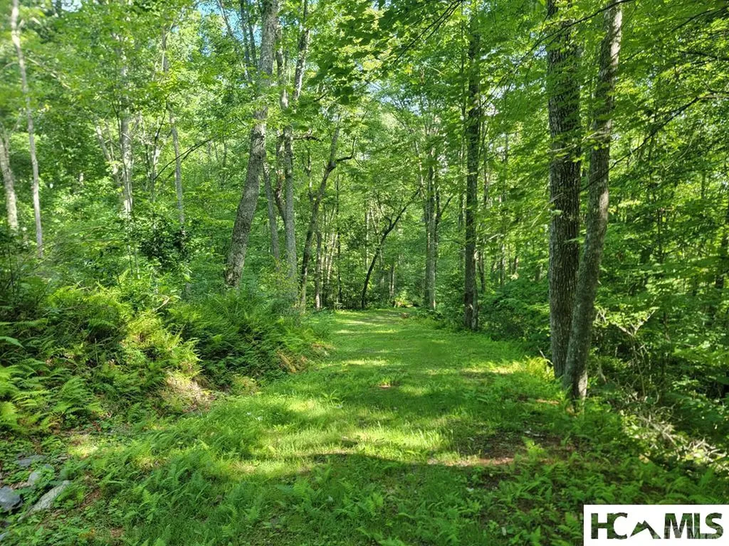 2572 Great Falls Drive Glenville NC 28717