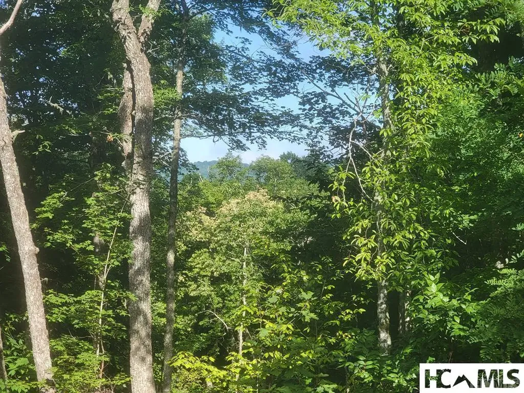2572 Great Falls Drive Glenville NC 28717