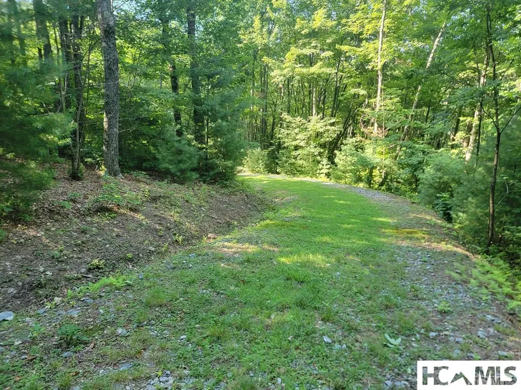 2572 Great Falls Drive Glenville NC 28717