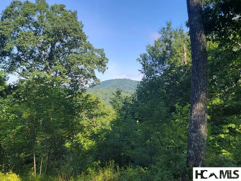 2572 Great Falls Drive Glenville NC 28717