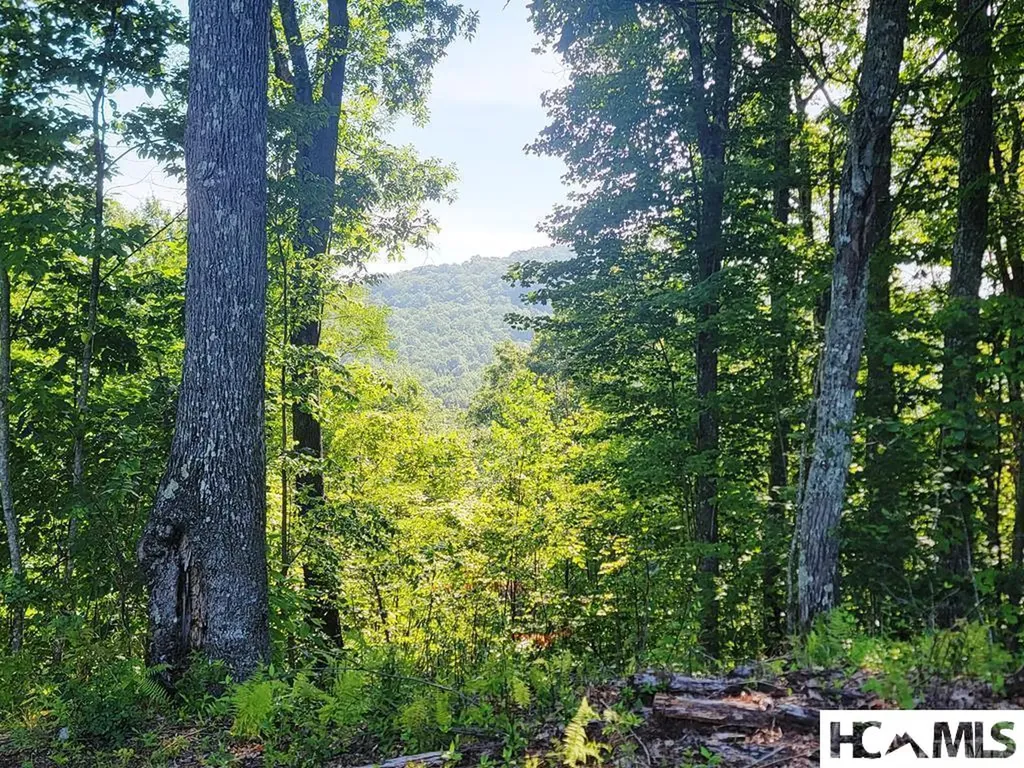 2572 Great Falls Drive Glenville NC 28717