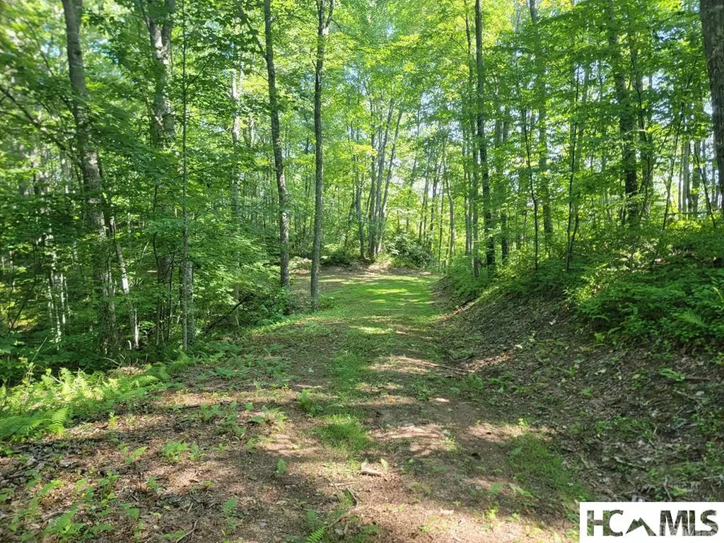 2572 Great Falls Drive Glenville NC 28717