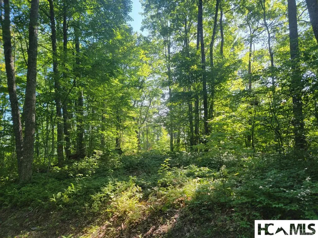2572 Great Falls Drive Glenville NC 28717