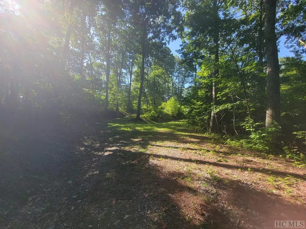 2572 Great Falls Drive Glenville NC 28717