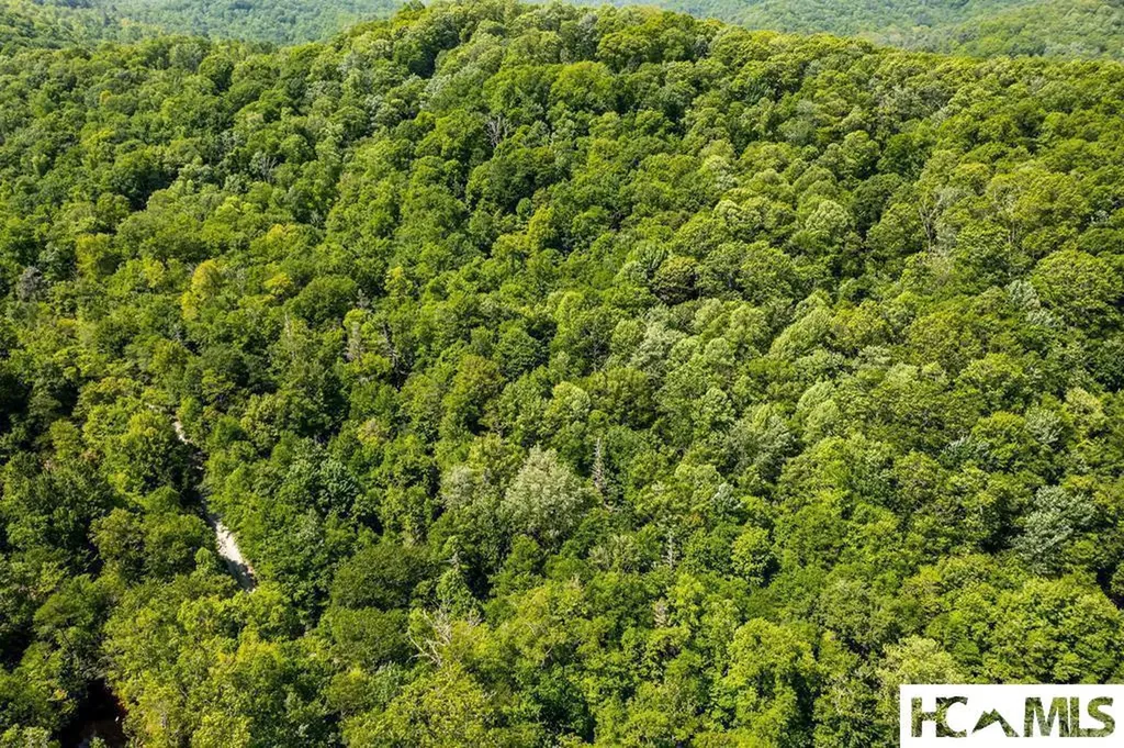 2572 Great Falls Drive Glenville NC 28717