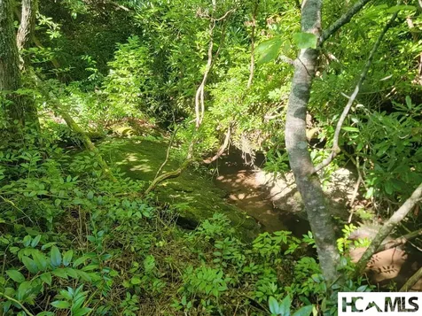 2572 Great Falls Drive Glenville NC 28717