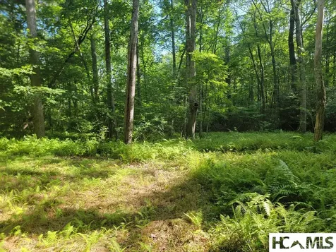 2572 Great Falls Drive Glenville NC 28717
