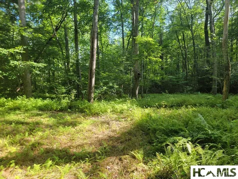 2572 Great Falls Drive Glenville NC 28736