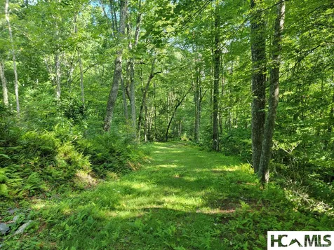 2572 Great Falls Drive Glenville NC 28736
