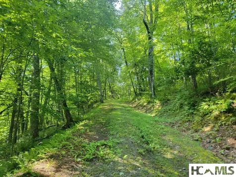 2572 Great Falls Drive Glenville NC 28717