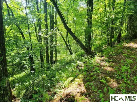 2572 Great Falls Drive Glenville NC 28717