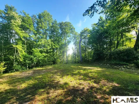 2572 Great Falls Drive Glenville NC 28736
