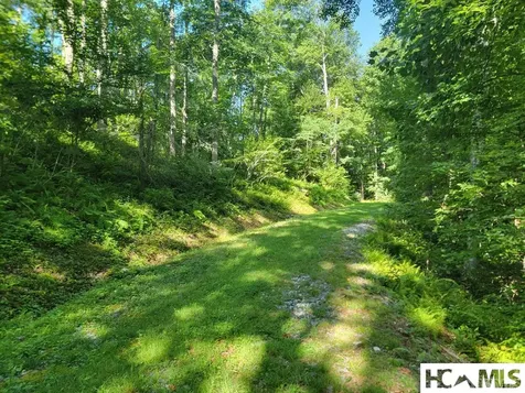 2572 Great Falls Drive Glenville NC 28717