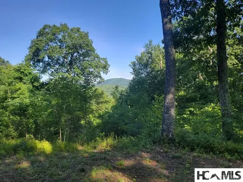 2572 Great Falls Drive Glenville NC 28717