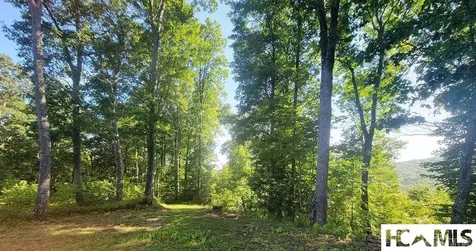 2572 Great Falls Drive Glenville NC 28717
