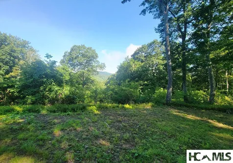 2572 Great Falls Drive Glenville NC 28736