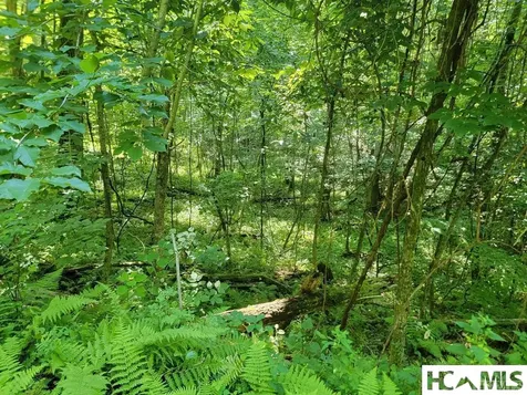 2572 Great Falls Drive Glenville NC 28717