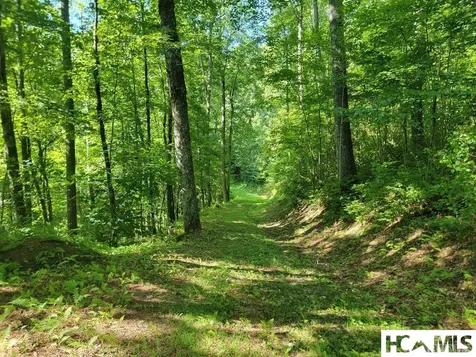 2572 Great Falls Drive Glenville NC 28717