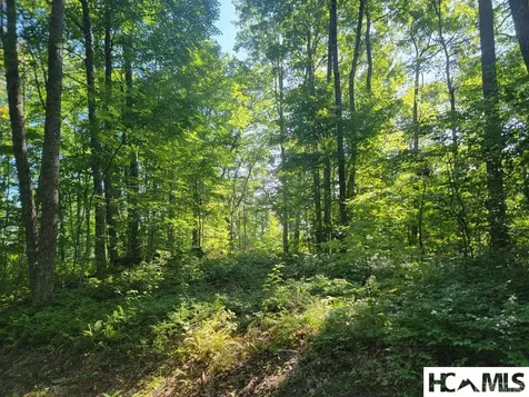 2572 Great Falls Drive Glenville NC 28717