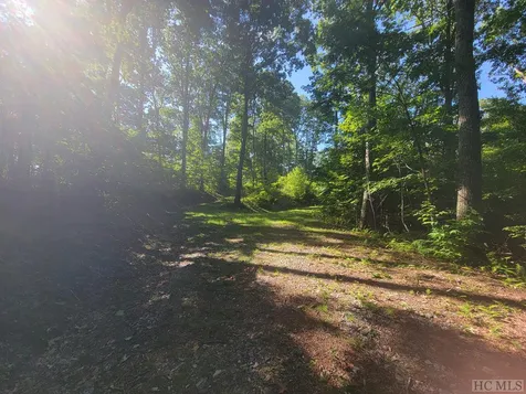 2572 Great Falls Drive Glenville NC 28736