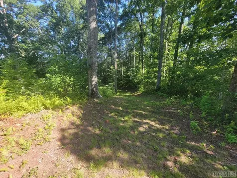 2572 Great Falls Drive Glenville NC 28717