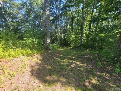 2572 Great Falls Drive Glenville NC 28736