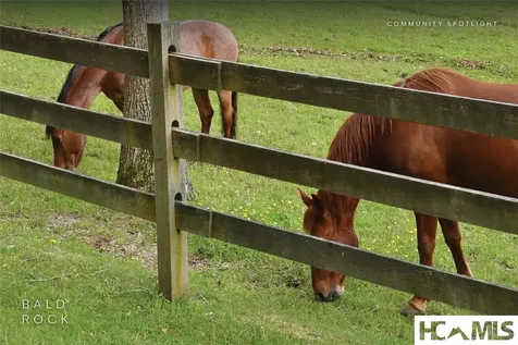 15 Equine Drive Sapphire NC 28774