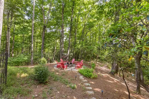 165 Hawthorn Court Sapphire NC 28774