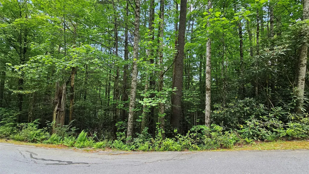 L162 Sunrise Court Sapphire NC 28774