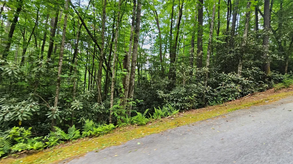 L162 Sunrise Court Sapphire NC 28774
