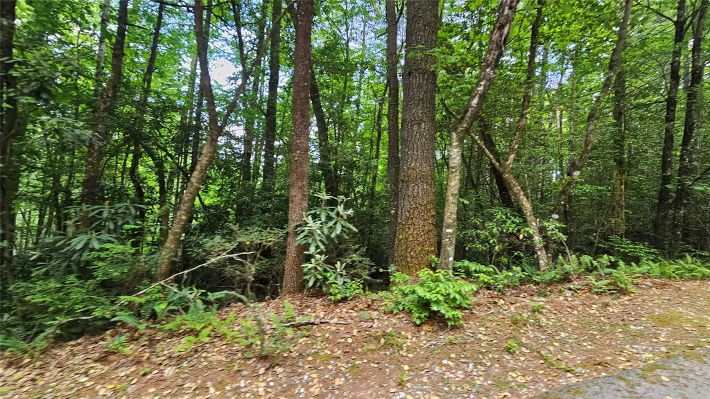 L162 Sunrise Court Sapphire NC 28774