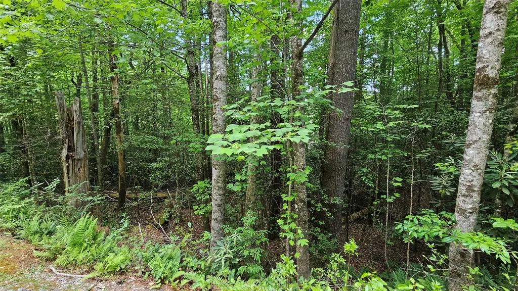 L162 Sunrise Court Sapphire NC 28774