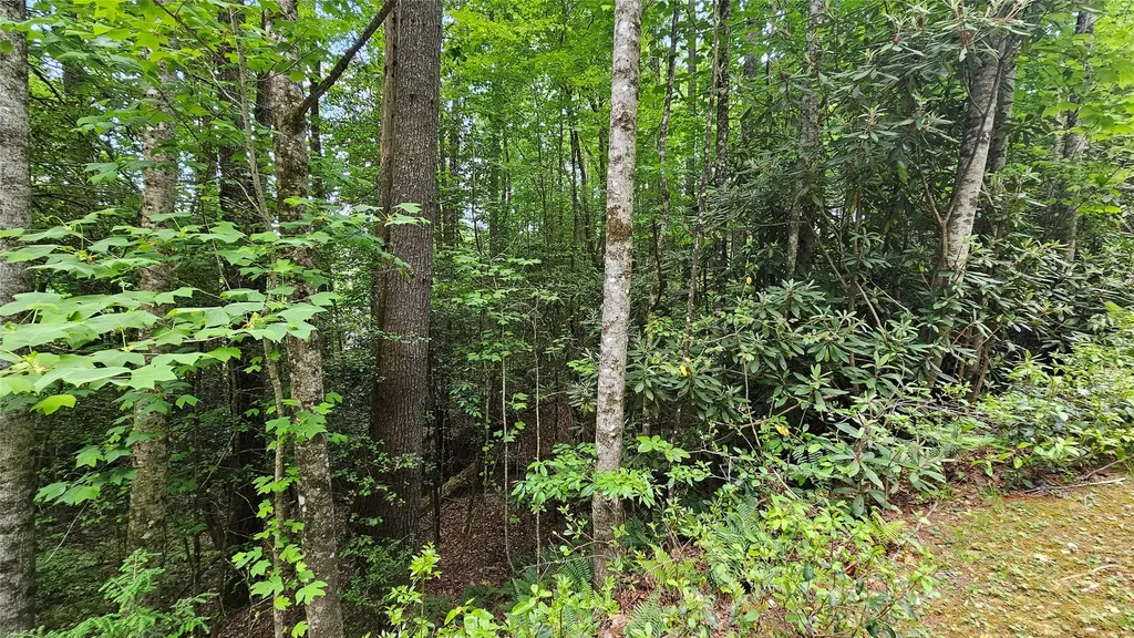 L162 Sunrise Court Sapphire NC 28774