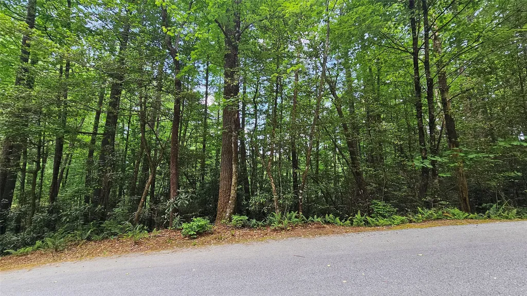 L162 Sunrise Court Sapphire NC 28774