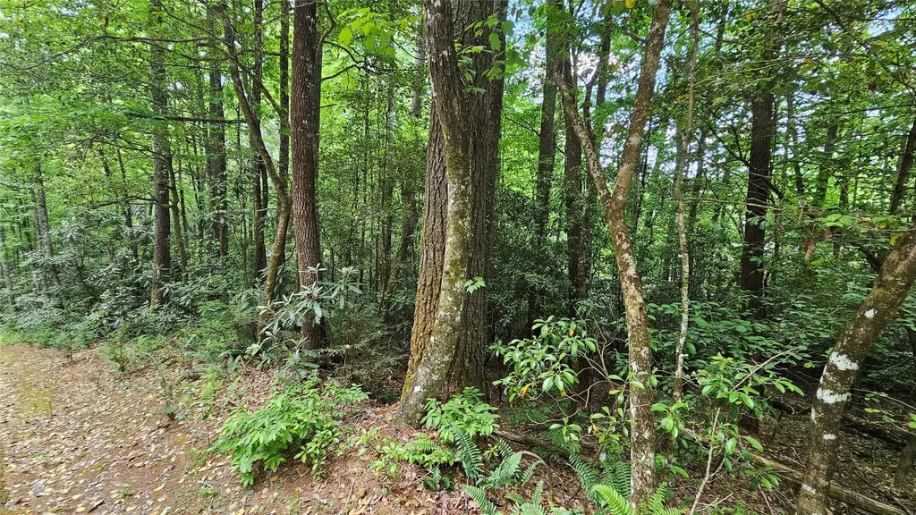 L162 Sunrise Court Sapphire NC 28774