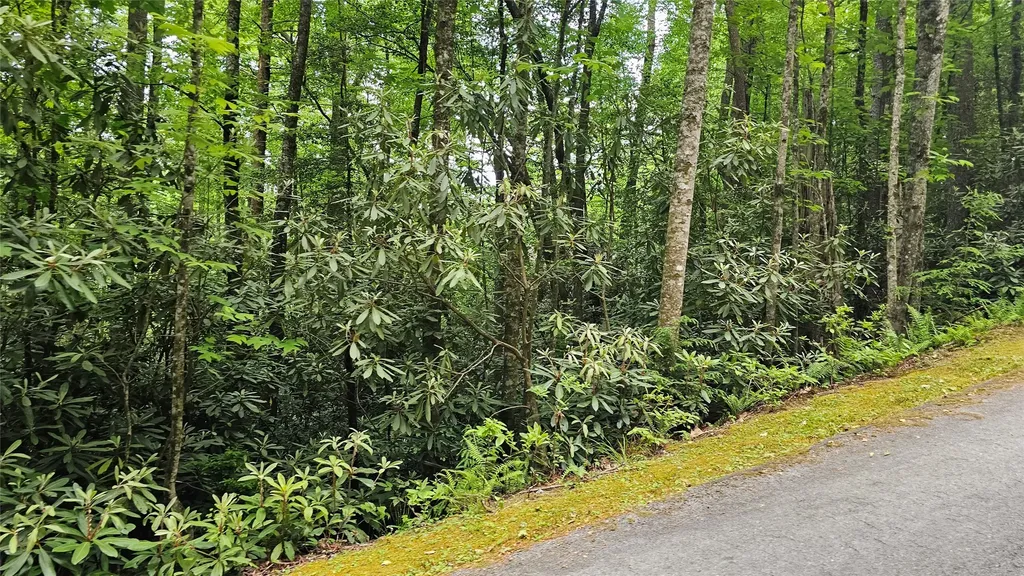 L162 Sunrise Court Sapphire NC 28774