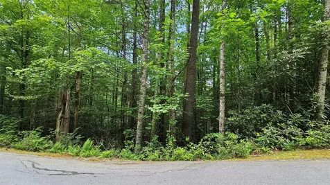 L162 Sunrise Court Sapphire NC 28774